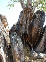 Arnhemland  &ndash; &copy; Rebekka Böhme (Eberhardt TRAVEL)
