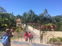 Kuranda &ndash; &copy; Rebekka Böhme (Eberhardt TRAVEL)