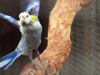 Featherdale Wildlife Park &ndash; &copy; Juliane Voigt (Eberhardt TRAVEL)