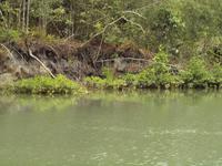 Auf Safari &ndash; &copy; Juliane Voigt (Eberhardt TRAVEL)