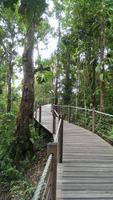 Cairns - Seilbahn nach Kuranda &ndash; &copy; Juliane Voigt (Eberhardt TRAVEL)