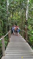 Cairns - Seilbahn nach Kuranda &ndash; &copy; Juliane Voigt (Eberhardt TRAVEL)