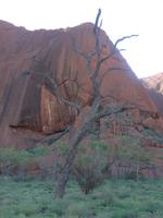 Ayes Rock &ndash; &copy; Philipp Schmitz (Eberhardt TRAVEL)