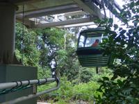 Skyrail &ndash; &copy; Philipp Schmitz (Eberhardt TRAVEL)