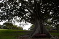 Sydney &ndash; &copy; Stefanie Knisse (Eberhardt TRAVEL)