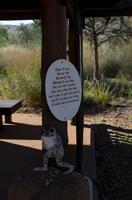 Alice Springs &ndash; &copy; Stefanie Knisse (Eberhardt TRAVEL)
