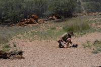 Alice Springs &ndash; &copy; Stefanie Knisse (Eberhardt TRAVEL)