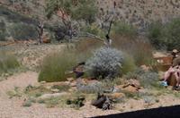 Alice Springs &ndash; &copy; Stefanie Knisse (Eberhardt TRAVEL)
