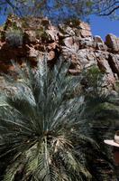 Alice Springs &ndash; &copy; Stefanie Knisse (Eberhardt TRAVEL)