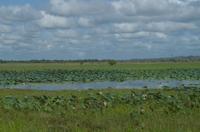 Kakadu-Nationalpark & Arnhemland-Safari &ndash; &copy; Stefanie Knisse (Eberhardt TRAVEL)