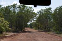 Kakadu-Nationalpark & Arnhemland-Safari &ndash; &copy; Stefanie Knisse (Eberhardt TRAVEL)