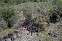 Kakadu-Nationalpark & Arnhemland-Safari &ndash; &copy; Stefanie Knisse (Eberhardt TRAVEL)
