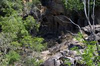 Kakadu-Nationalpark & Arnhemland-Safari &ndash; &copy; Stefanie Knisse (Eberhardt TRAVEL)