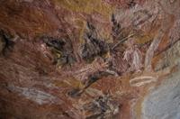 Kakadu-Nationalpark & Arnhemland-Safari &ndash; &copy; Stefanie Knisse (Eberhardt TRAVEL)