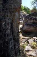 Kakadu-Nationalpark & Arnhemland-Safari &ndash; &copy; Stefanie Knisse (Eberhardt TRAVEL)