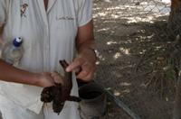 Kakadu-Nationalpark & Arnhemland-Safari &ndash; &copy; Stefanie Knisse (Eberhardt TRAVEL)