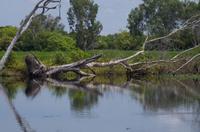 Kakadu-Nationalpark & Arnhemland-Safari &ndash; &copy; Stefanie Knisse (Eberhardt TRAVEL)