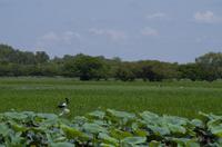 Kakadu-Nationalpark & Arnhemland-Safari &ndash; &copy; Stefanie Knisse (Eberhardt TRAVEL)