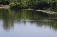 Kakadu-Nationalpark & Arnhemland-Safari &ndash; &copy; Stefanie Knisse (Eberhardt TRAVEL)