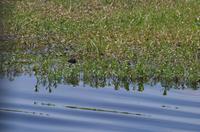 Kakadu-Nationalpark & Arnhemland-Safari &ndash; &copy; Stefanie Knisse (Eberhardt TRAVEL)