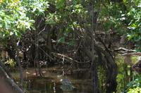 Kakadu-Nationalpark & Arnhemland-Safari &ndash; &copy; Stefanie Knisse (Eberhardt TRAVEL)