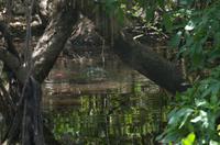 Kakadu-Nationalpark & Arnhemland-Safari &ndash; &copy; Stefanie Knisse (Eberhardt TRAVEL)