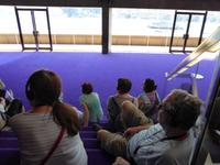 Sydney &ndash; &copy; Sabine Letzybyll (Eberhardt TRAVEL)