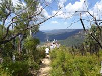 Blue Mountains &ndash; &copy; Sabine Letzybyll (Eberhardt TRAVEL)