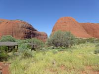 Olgas &ndash; &copy; Sabine Letzybyll (Eberhardt TRAVEL)