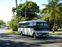 Daintree Nationalpark &ndash; &copy; Sabine Letzybyll (Eberhardt TRAVEL)
