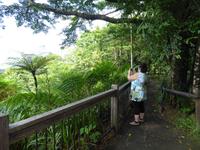 Regenwald &ndash; &copy; Sabine Letzybyll (Eberhardt TRAVEL)