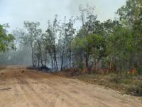 Bushfeuer &ndash; &copy; Peter Rudolph (Eberhardt TRAVEL)