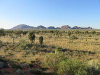 Kata Tjuta  &ndash; &copy; Juliane Voigt (Eberhardt TRAVEL)