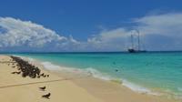 Koralleninsel Michaelmas Cay und die Ocean Spirit &ndash; &copy; Frank Nimschowski (Eberhardt TRAVEL)