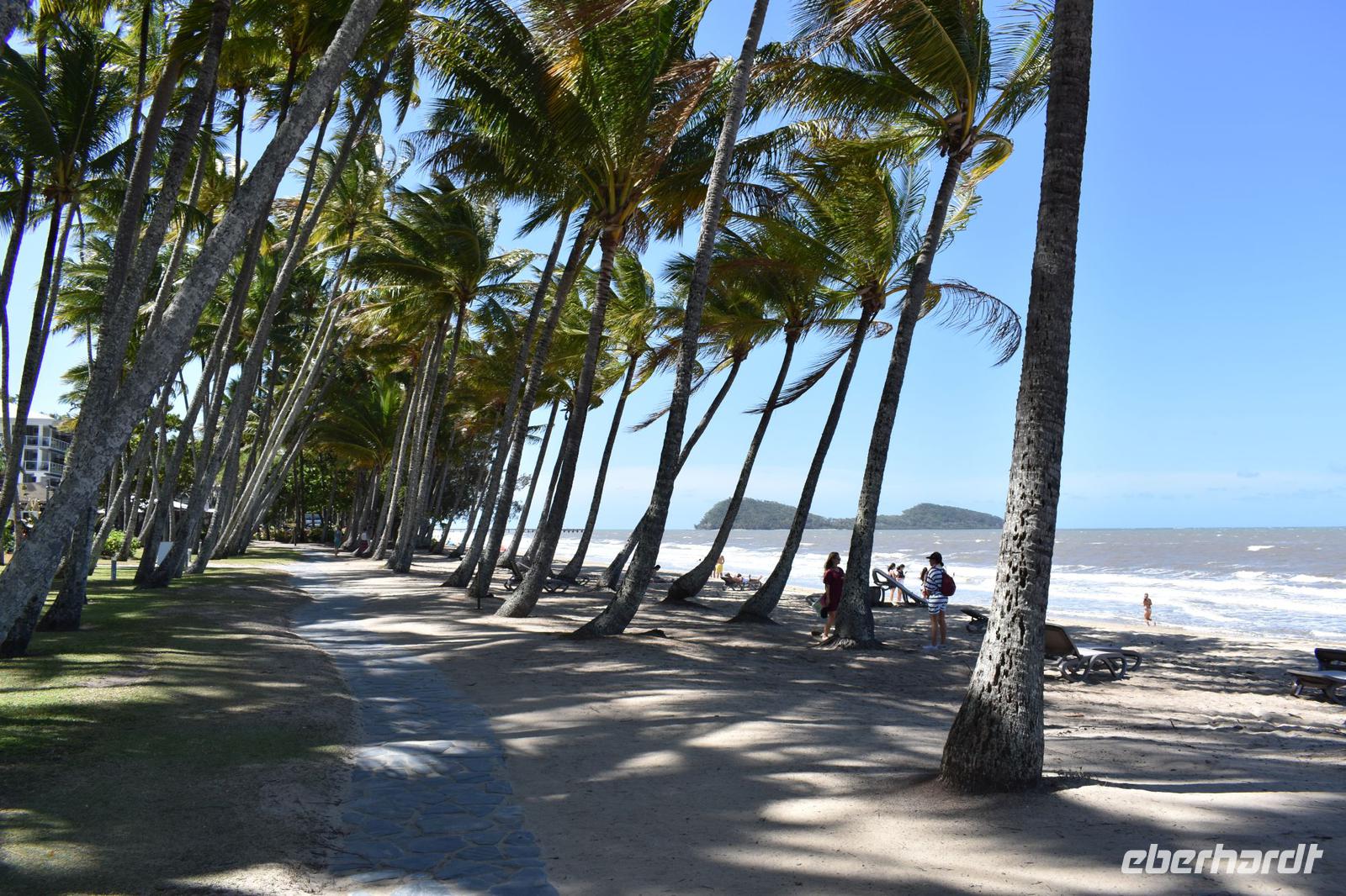 Palm Cove &ndash; &copy; Eric Richter (Eberhardt TRAVEL)