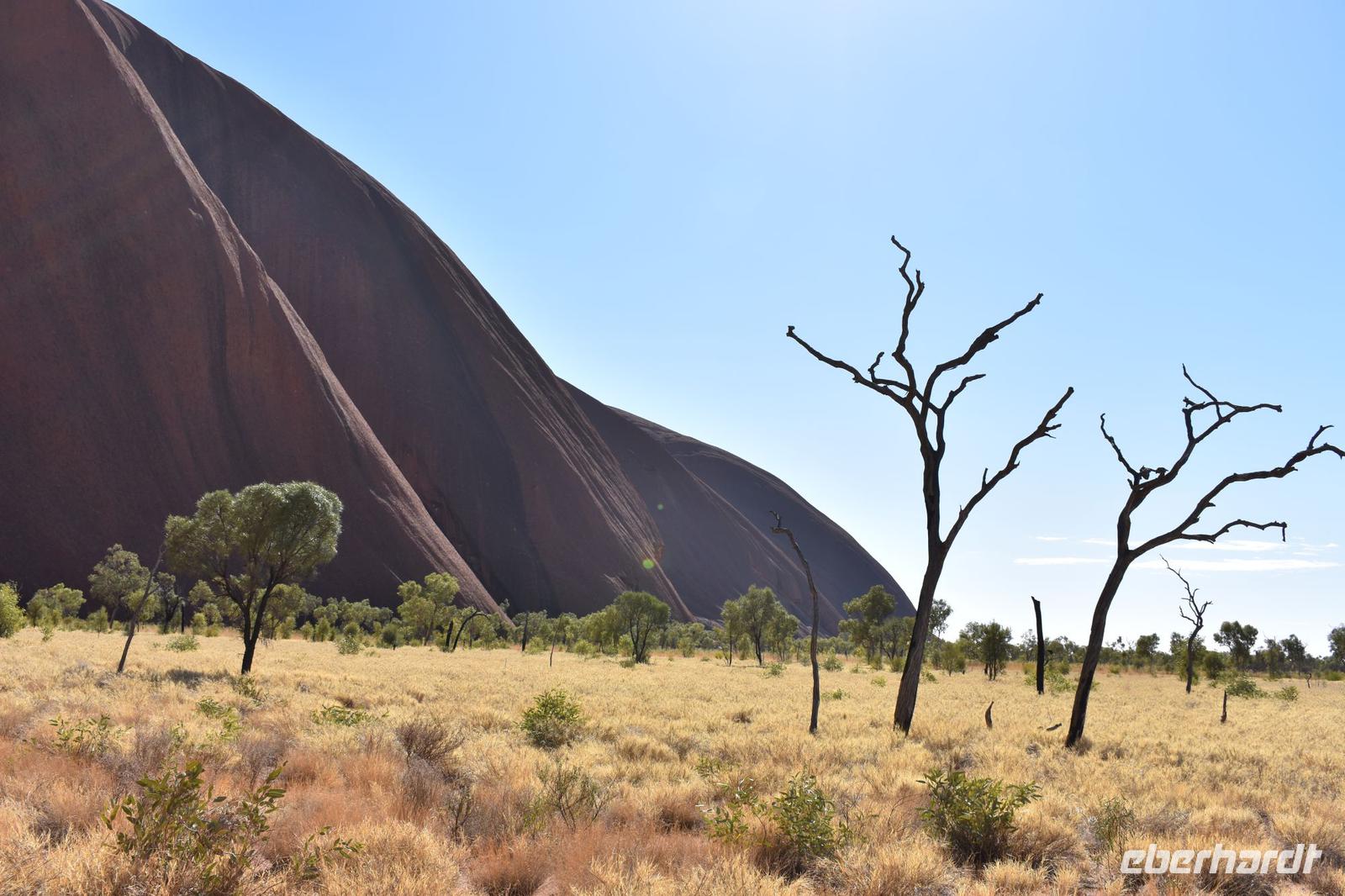 Uluru - Ayers Rock &ndash; &copy; Eric Richter (Eberhardt TRAVEL)