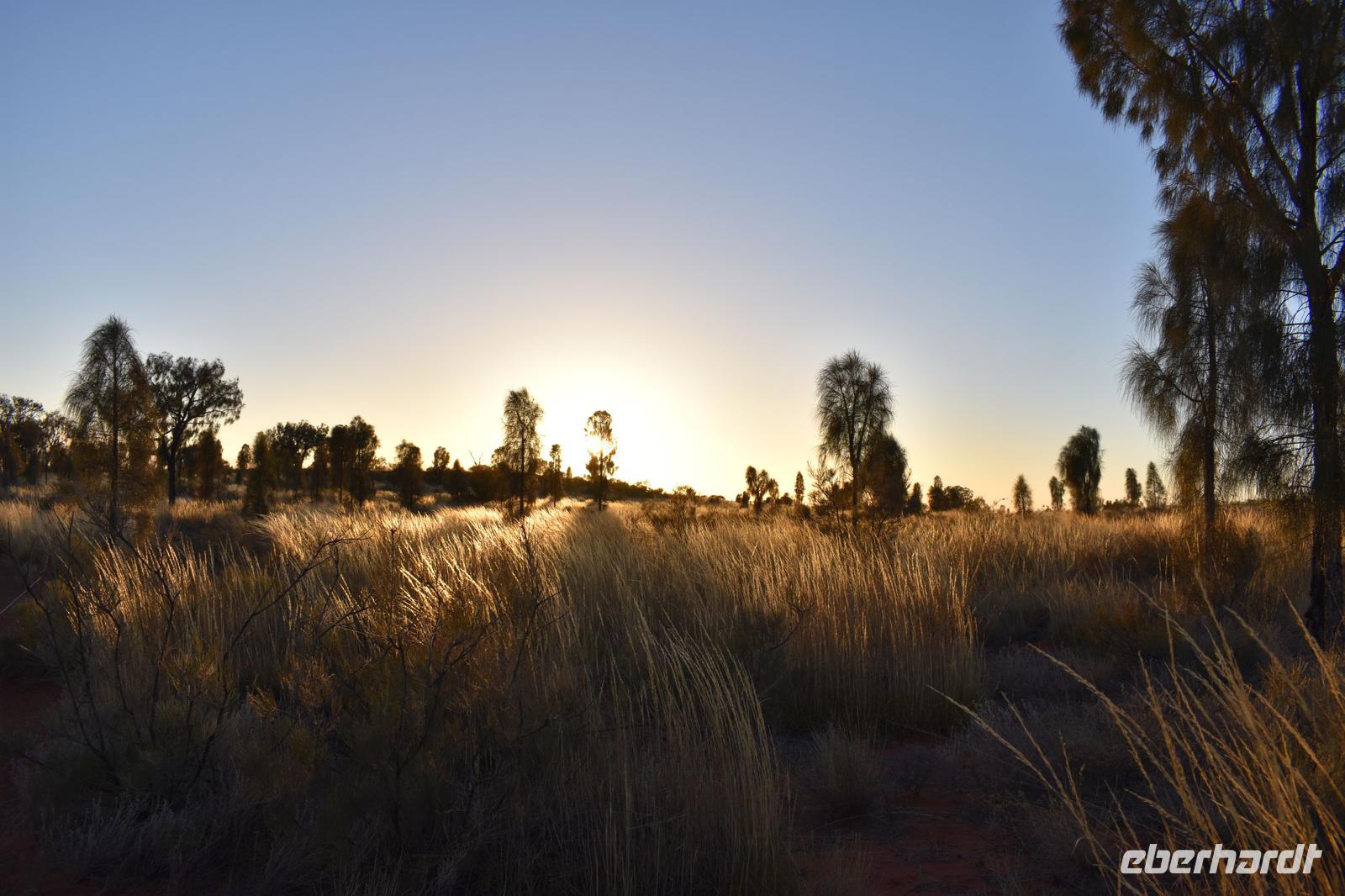 Uluru - Ayers Rock - Sonnenaufgang &ndash; &copy; Eric Richter (Eberhardt TRAVEL)