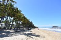 Palm Cove &ndash; &copy; Eric Richter (Eberhardt TRAVEL)