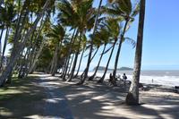 Palm Cove &ndash; &copy; Eric Richter (Eberhardt TRAVEL)