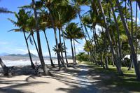 Palm Cove &ndash; &copy; Eric Richter (Eberhardt TRAVEL)