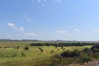Ubirr 