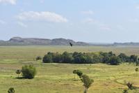 Ubirr  &ndash; &copy; Eric Richter (Eberhardt TRAVEL)