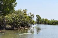 Yellow Water &ndash; &copy; Eric Richter (Eberhardt TRAVEL)