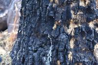 Arnhemland &ndash; &copy; Eric Richter (Eberhardt TRAVEL)