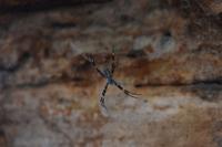 Arnhemland &ndash; &copy; Eric Richter (Eberhardt TRAVEL)