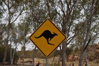Känguru-Sign &ndash; &copy; Eric Richter (Eberhardt TRAVEL)