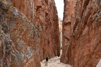 Western Macdonell Ranges &ndash; &copy; Eric Richter (Eberhardt TRAVEL)