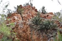 Western Macdonell Ranges