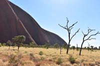 Uluru - Ayers Rock &ndash; &copy; Eric Richter (Eberhardt TRAVEL)