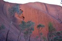 Uluru - Ayers Rock &ndash; &copy; Eric Richter (Eberhardt TRAVEL)
